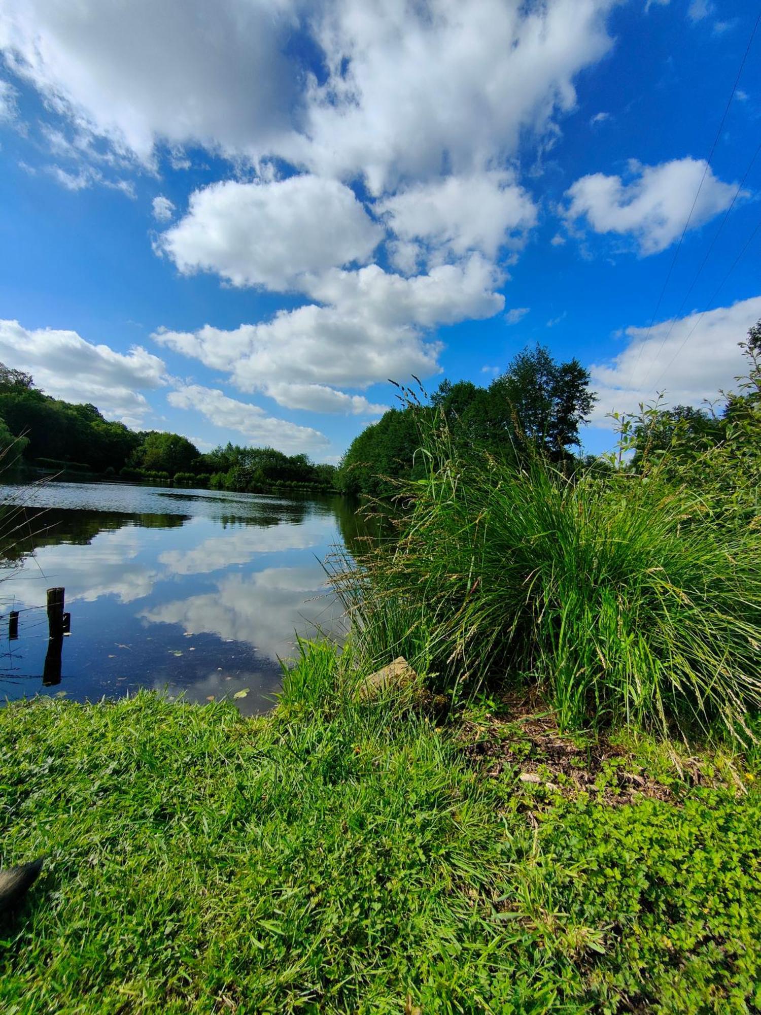 Gite De L Etang Du Planchon Balledent Екстер'єр фото